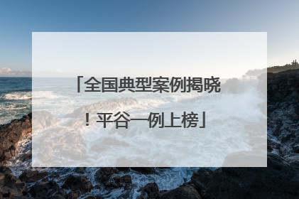 全国典型案例揭晓！平谷一例上榜
