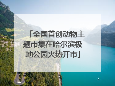 全国首创动物主题市集在哈尔滨极地公园火热开市