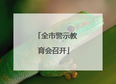 全市警示教育会召开