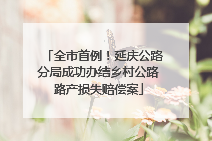 全市首例！延庆公路分局成功办结乡村公路路产损失赔偿案
