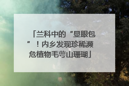 兰科中的“显眼包”！内乡发现珍稀濒危植物毛萼山珊瑚