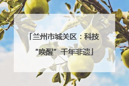 兰州市城关区：科技“唤醒”千年非遗