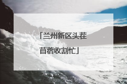 兰州新区头茬苜蓿收割忙