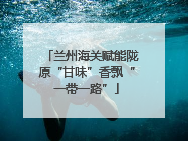 兰州海关赋能陇原“甘味”香飘“一带一路”