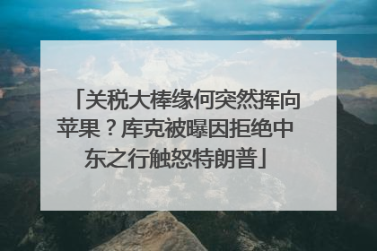 关税大棒缘何突然挥向苹果？库克被曝因拒绝中东之行触怒特朗普