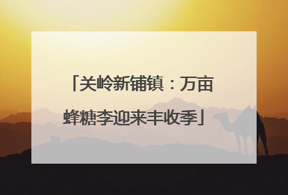 关岭新铺镇：万亩蜂糖李迎来丰收季