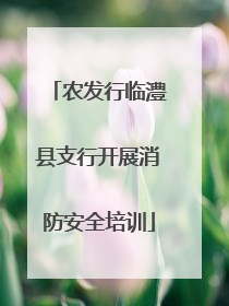 农发行临澧县支行开展消防安全培训