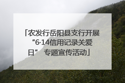 农发行岳阳县支行开展“6·14信用记录关爱日” 专题宣传活动