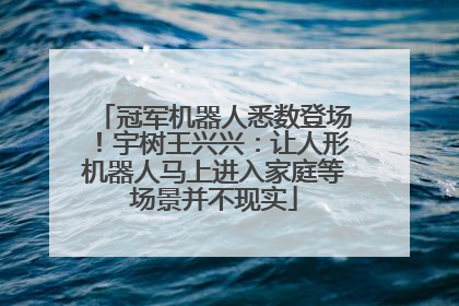 冠军机器人悉数登场！宇树王兴兴：让人形机器人马上进入家庭等场景并不现实
