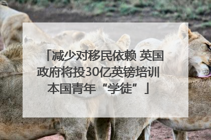 减少对移民依赖 英国政府将投30亿英镑培训本国青年“学徒”