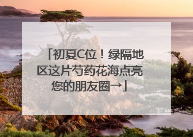 初夏C位！绿隔地区这片芍药花海点亮您的朋友圈→
