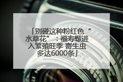 别碰这种粉红色“水草花”：福寿螺进入繁殖旺季 寄生虫多达6000条