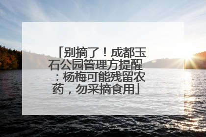 别摘了！成都玉石公园管理方提醒：杨梅可能残留农药，勿采摘食用