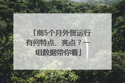 前5个月外贸运行有何特点、亮点？一组数据带你看