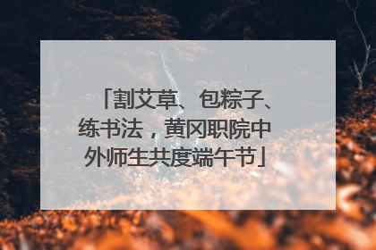 割艾草、包粽子、练书法，黄冈职院中外师生共度端午节