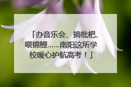 办音乐会、摘枇杷、喂锦鲤……南阳这所学校暖心护航高考！