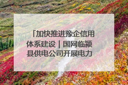 加快推进豫企信用体系建设｜国网临颍县供电公司开展电力行业信用企业现场咨询访谈工作