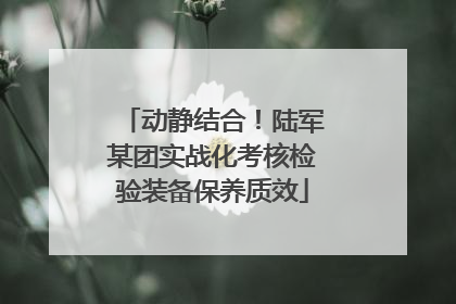 动静结合！陆军某团实战化考核检验装备保养质效