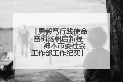 勇毅笃行践使命 奋楫扬帆启新程——神木市委社会工作部工作纪实