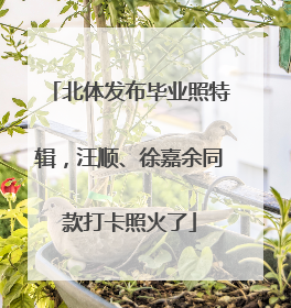 北体发布毕业照特辑，汪顺、徐嘉余同款打卡照火了