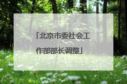 北京市委社会工作部部长调整