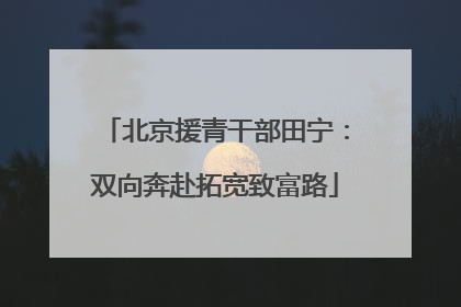 北京援青干部田宁：双向奔赴拓宽致富路