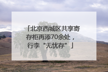 北京西城区共享寄存柜再添70余处，行李“无忧存”