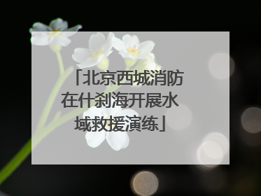 北京西城消防在什刹海开展水域救援演练