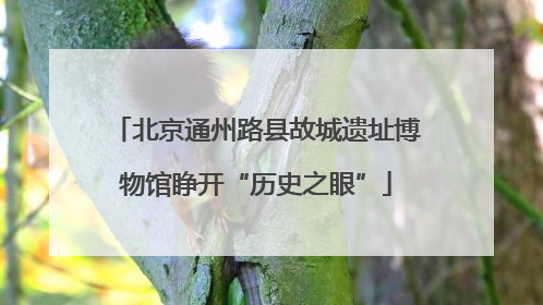 北京通州路县故城遗址博物馆睁开“历史之眼”