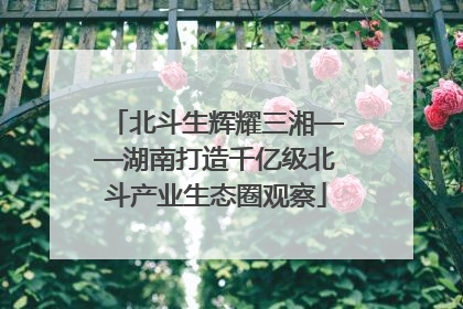 北斗生辉耀三湘——湖南打造千亿级北斗产业生态圈观察