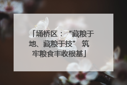 埇桥区：“藏粮于地、藏粮于技” 筑牢粮食丰收根基