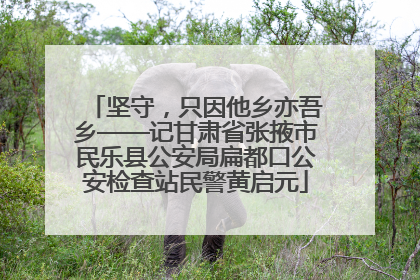 坚守，只因他乡亦吾乡——记甘肃省张掖市民乐县公安局扁都口公安检查站民警黄启元