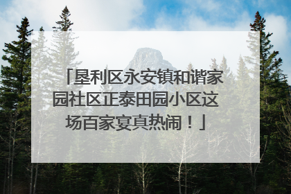 垦利区永安镇和谐家园社区正泰田园小区这场百家宴真热闹！