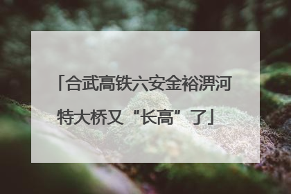 合武高铁六安金裕淠河特大桥又“长高”了