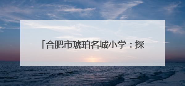 合肥市琥珀名城小学：探律动之美 研教学新思