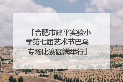 合肥市建平实验小学第七届艺术节巴乌专场比赛圆满举行