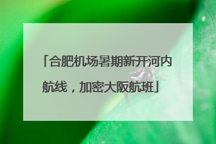 合肥机场暑期新开河内航线，加密大阪航班