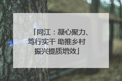 同江：凝心聚力、笃行实干 助推乡村振兴提质增效