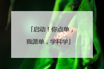 启动！你点单，我派单，学科学