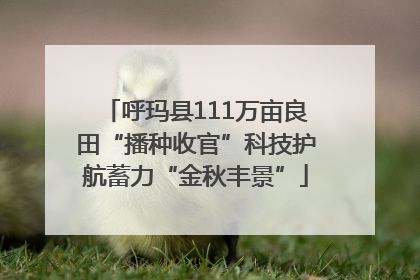 呼玛县111万亩良田“播种收官”科技护航蓄力“金秋丰景”
