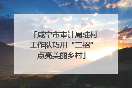 咸宁市审计局驻村工作队巧用“三招”点亮美丽乡村
