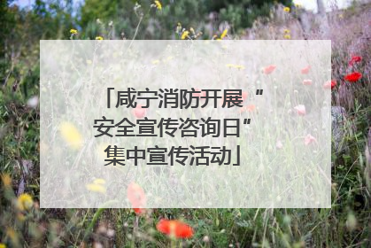 咸宁消防开展“安全宣传咨询日”集中宣传活动