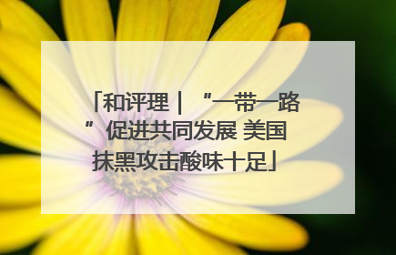 和评理｜“一带一路”促进共同发展 美国抹黑攻击酸味十足