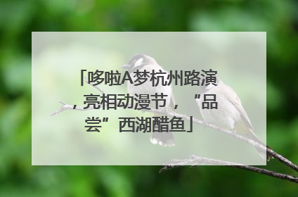 哆啦A梦杭州路演，亮相动漫节，“品尝”西湖醋鱼