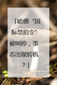哈佛“国际禁招令”被叫停，事态出现转机？