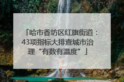 哈市香坊区红旗街道：43项指标大排查城市治理“有数有温度”