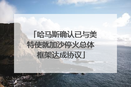 哈马斯确认已与美特使就加沙停火总体框架达成协议