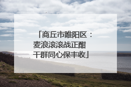 商丘市睢阳区：麦浪滚滚战正酣 干群同心保丰收