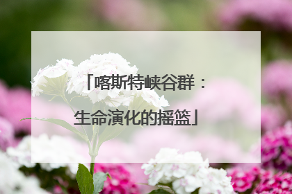 喀斯特峡谷群：生命演化的摇篮