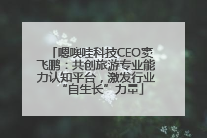 嗯噢哇科技CEO窦飞鹏：共创旅游专业能力认知平台，激发行业“自生长”力量
